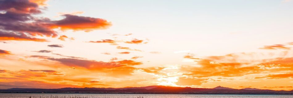 Descubre qué comer en Valencia en septiembre: productos de temporada, paella en la Albufera y experiencias gastronómicas únicas.