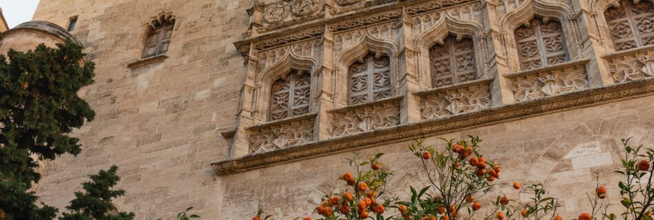 Qué buscan los huéspedes internacionales cuando eligen Valencia